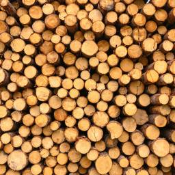 Gelin ahşabı tanıyalım